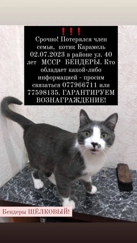 �� ����� �������� ����� �����������