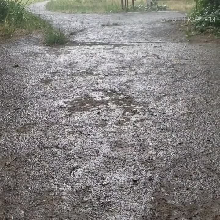 � ��������� ������ � ������