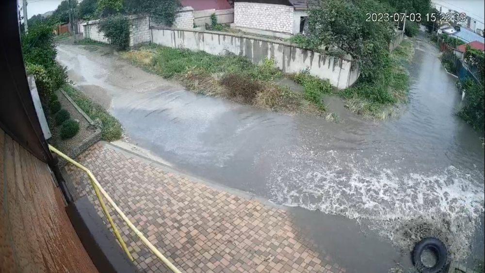 ������ ����� �����. ����� ����������