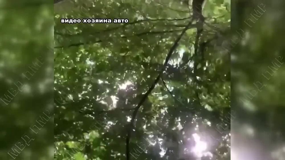 ������� ���� ����������� �� ���������� �� ������� ������ ��������