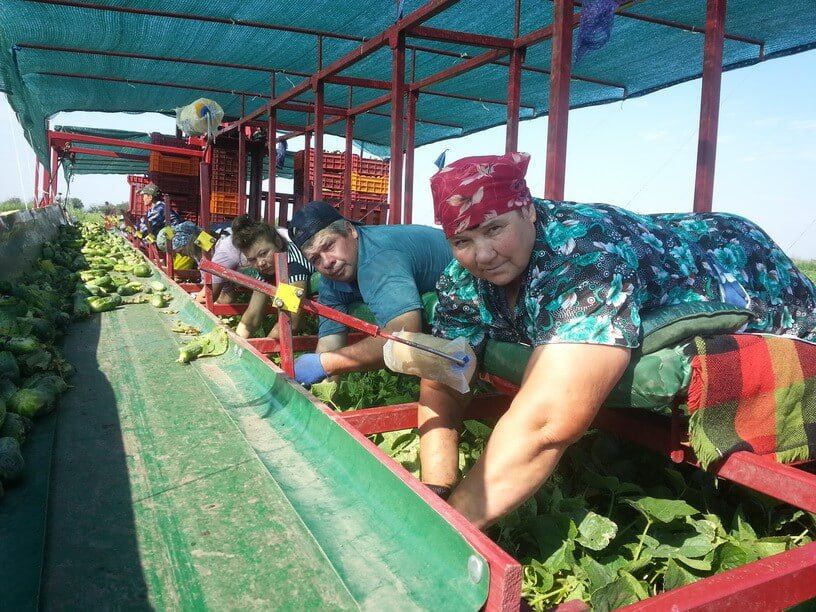 ���� ������ ������ � �������