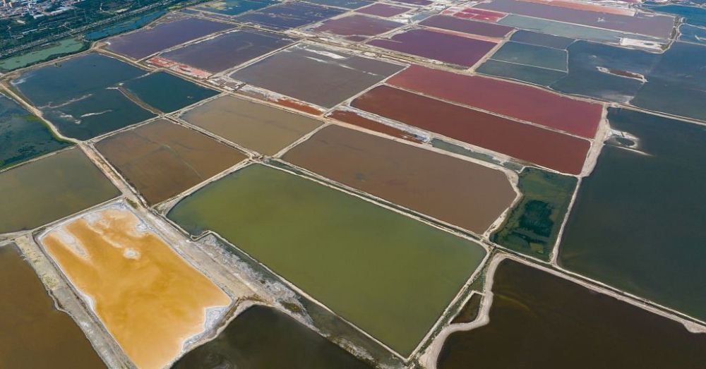 � ����� ������� ����� ������