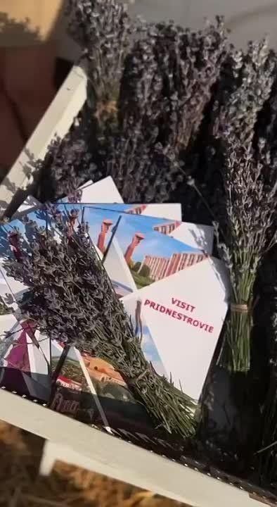 ����������� ����� � ��������� ������� � ������ ������� ������ �� ��������������. ������