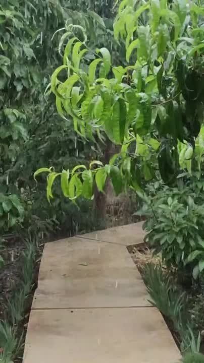 �������� ����� � ���������