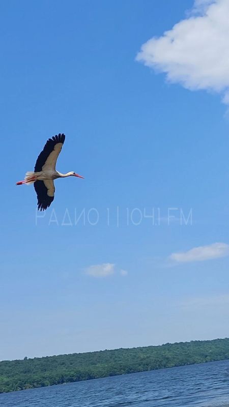 �������� �������� �� ������������ ����!