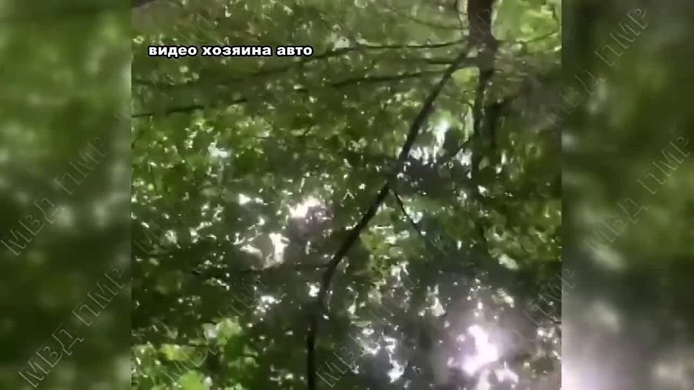 ���� �� ������ �� ������� ������ ��������