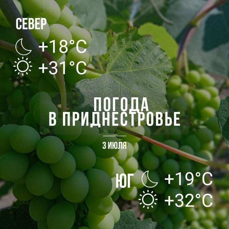 ����� ����� ���� � ����� �������