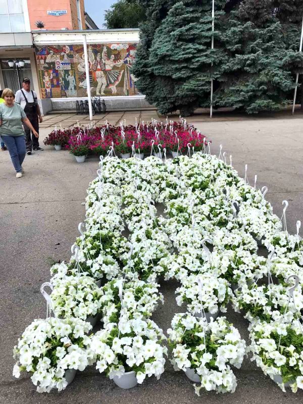 ��������� ������ ������ ��������, ������� ����� �������� ������� � ������ ������ ������ ���������� ������ � ������ ���������� ������ ����������!