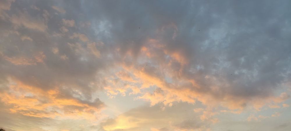 ���� - ��� ����� ���� �����������