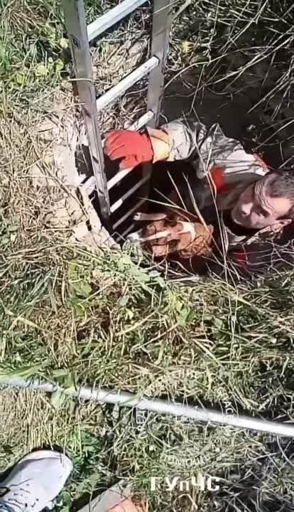 ������ ������. ���� ���� ������ ���� ������ 15-������ ���������� ��������