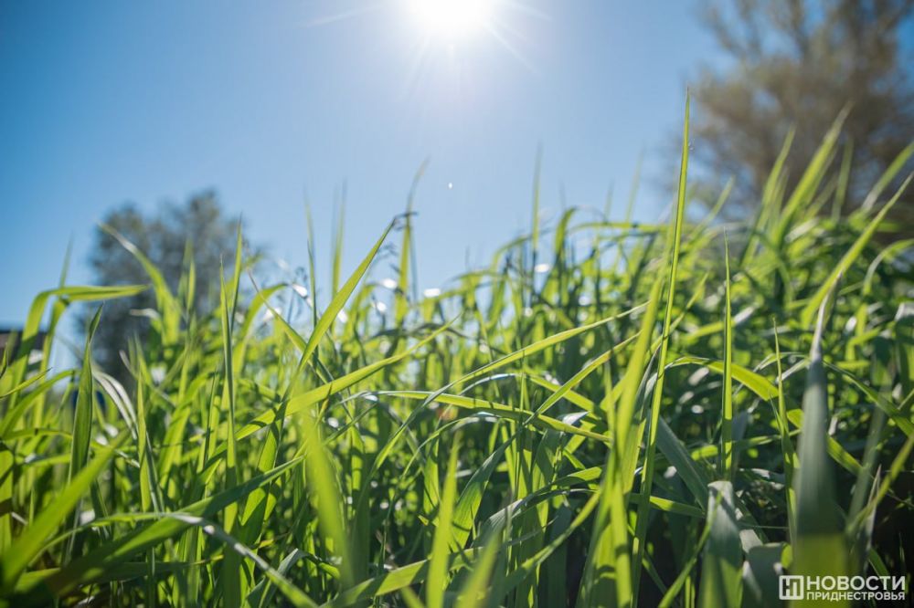 �������������: 5 � 6 ���� � ������������� ����� ����� �� +33�� � ����