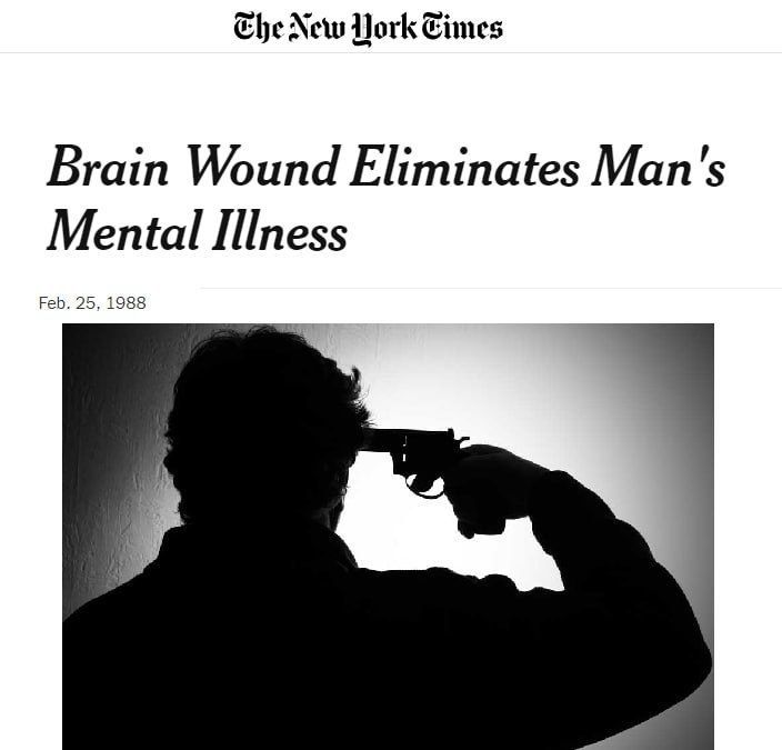 ����������� ������� 1988 ����, �������������� ������� � The New York Times