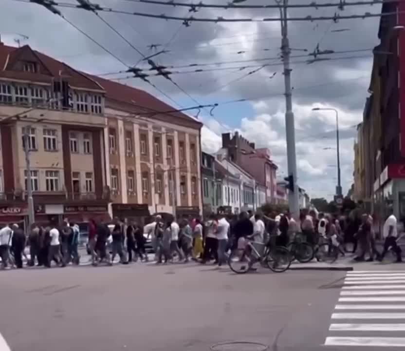 ���������� ������� ������� ���� �����: ���������� ����� ����� ������ ������ �� ������� ���������, ������ �������� �� ��...