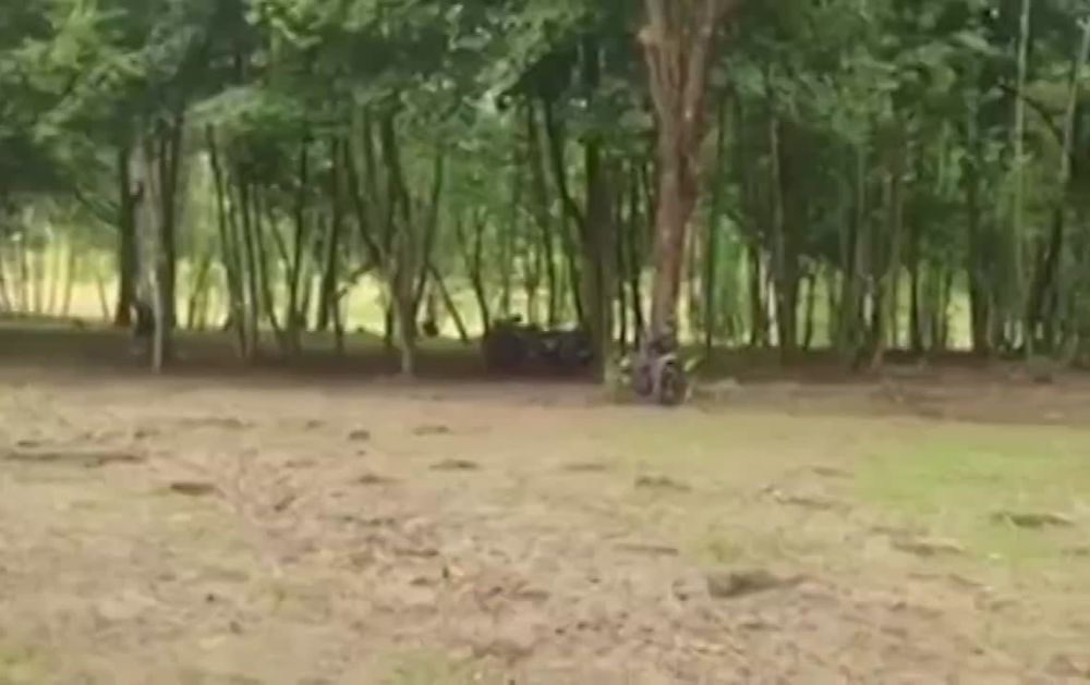 �������� ���� ������� �� ����������� �������� � �������� �������� �������� �� ������� ��� ���������� �������