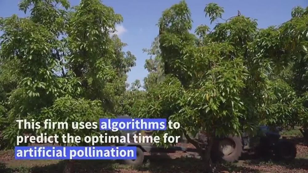 � ������� ����� �������� ������