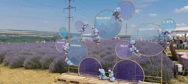 ���������. ��������� �������.. ���� ����������� ������ ������ �������� � ������� �����