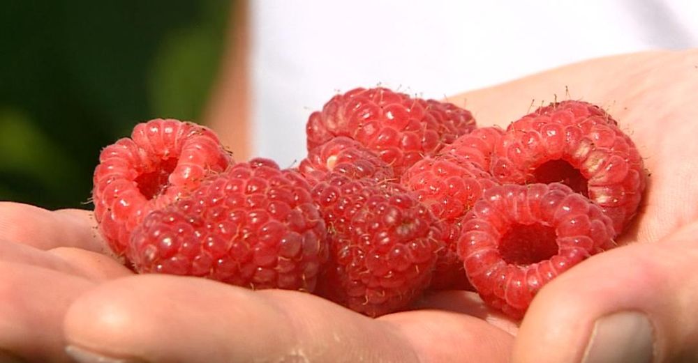 ������ � ���� ���� �����, �� ���� ������ �� ������