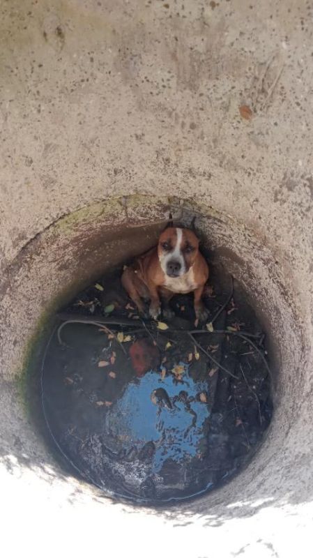 � ���������� ��������� ������ ����� ������ ����� � 2-�������� �������