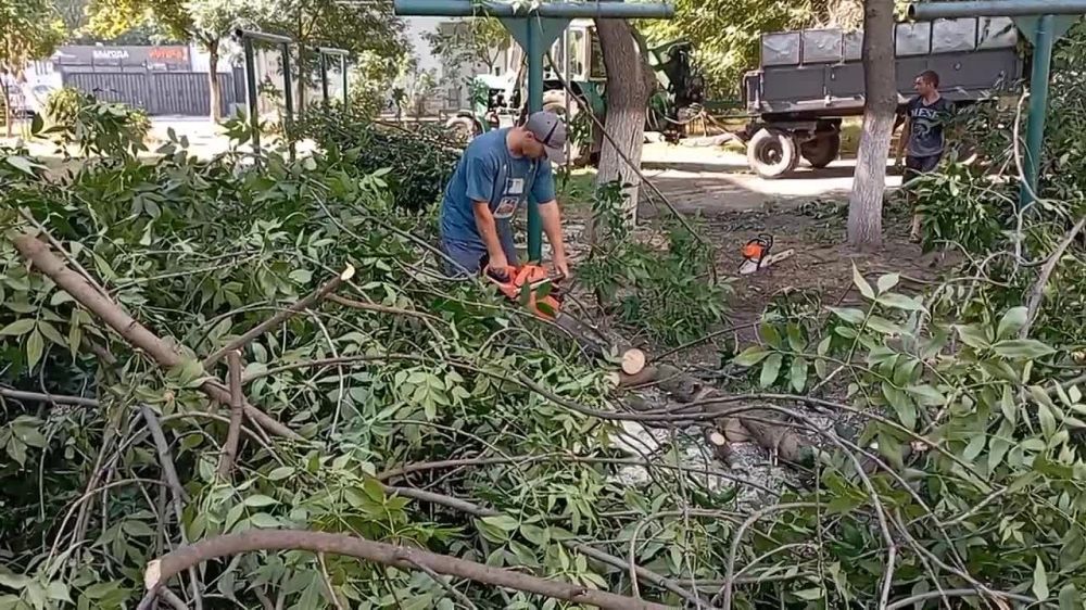 �������� ���������������� ��� ��������.