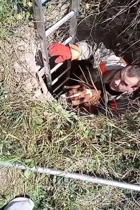 � ���������� ������ ������� 5 ���� � �������