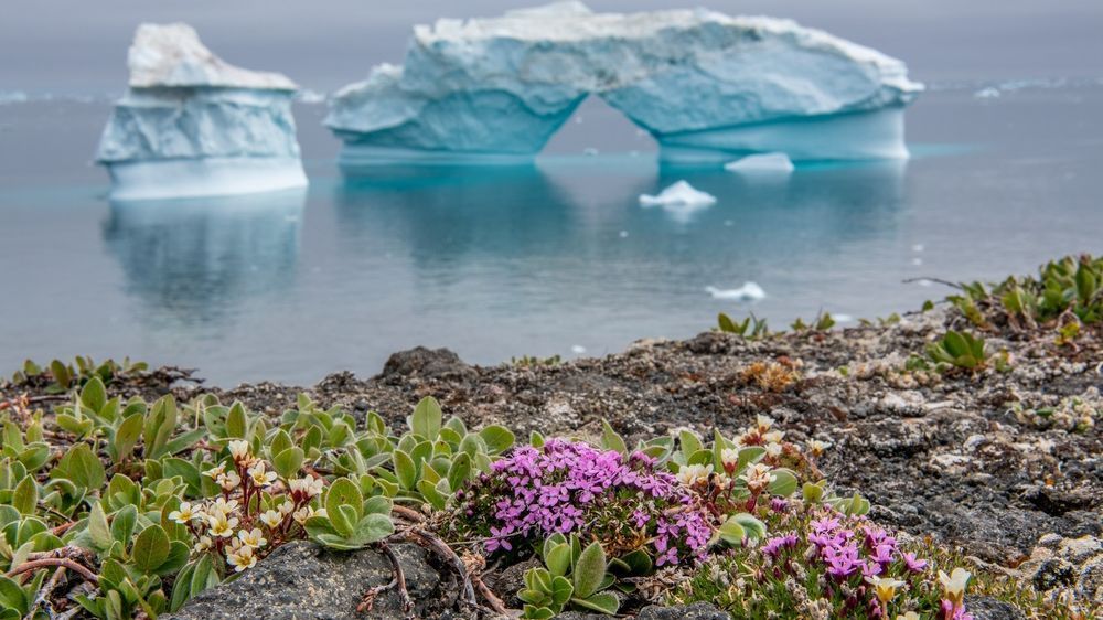 ���� ����������� ���� ����� ������ ���� � ���� �� ��� ������� ����������