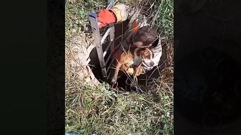 � ������������� ������ ���� ���� ������� � �������: ������������, �� ����� �� ������� ��������� - ��� ��� ����