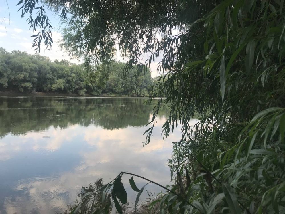 6 ���� ��������� ���������� ����������, ������� ������� ��������������� �����