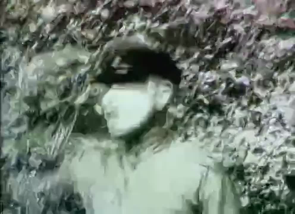 80 ��� ����� �������� ����� �� ������� ���� - ���� �� �������� �������� ������� �������������