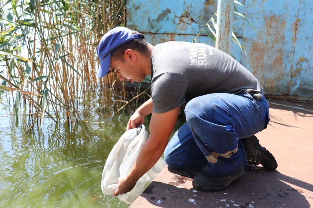 � ������������ ������������� ��������� ��� ����� 4,4 ��� ������� ������, ������ � �������� �����, ������������ � ����