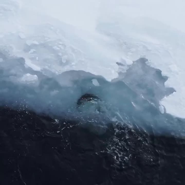 ����� �������� � �������� � �����������