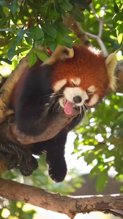 ������ ���� ����� ����� ����� ������� ������� � ���� �����, ��������� ��� � ������, ������� � ������� ������� ��������