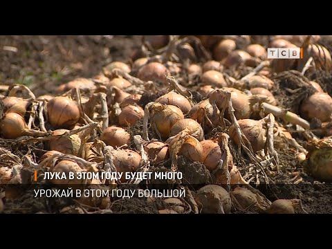 � ������������� ������ �������� ������ ������� ����. ������ � ���� ���� ������, ������� �������. ���������� ����� ����� �� ������. ������ � �������������� ����� �������� � ������� ��, ��� ���������