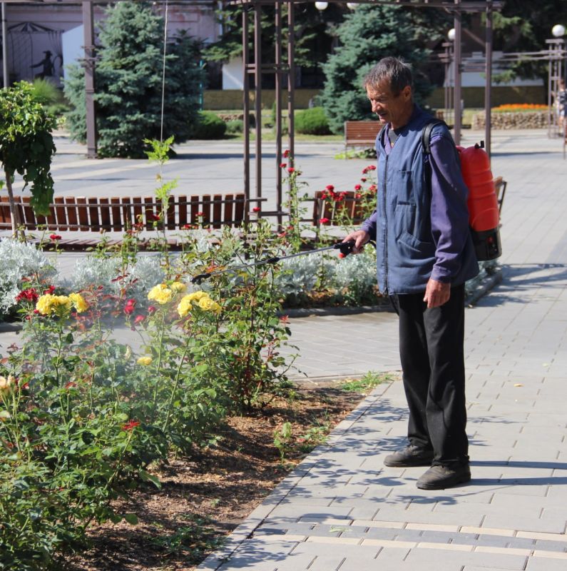 ����� ������ � �������� ������ ������� ���� � ������ ��������