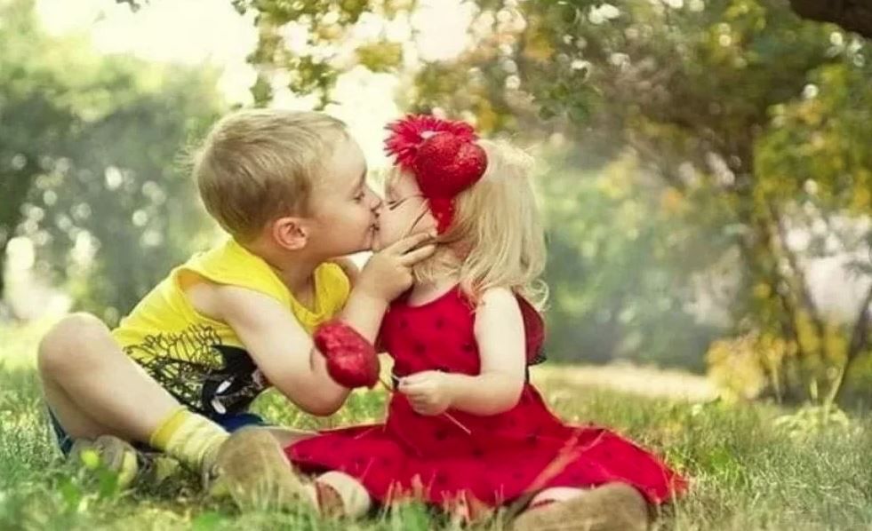 ��������� ���� ������� ������� �������� 6 ����