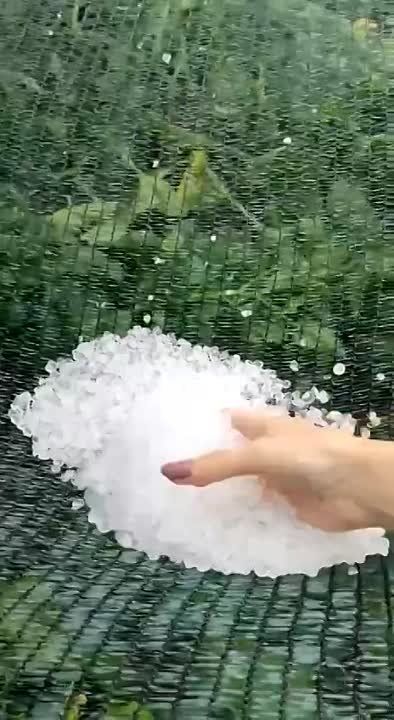 � ������� ������ ����.