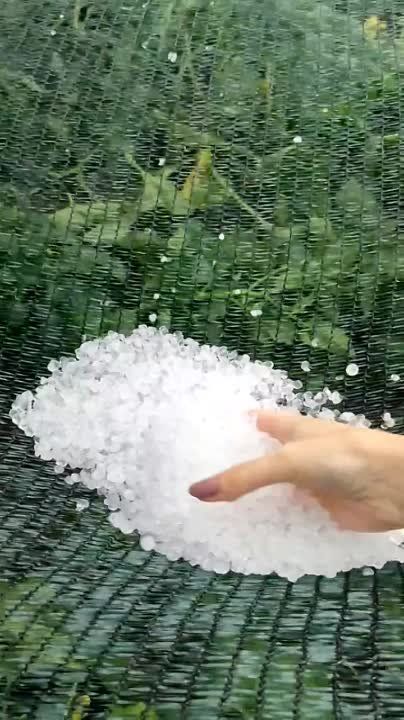 ������ �����, ����� � �������� ����� � ������� ��� ��� � ����