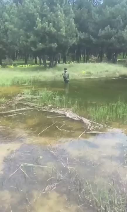 ����������� ������������ ������� �� ����� ������� ���������������