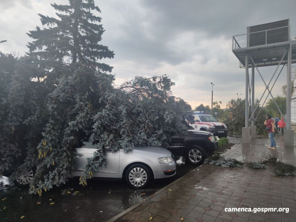 ��������� �� ����������� �������� � �������...