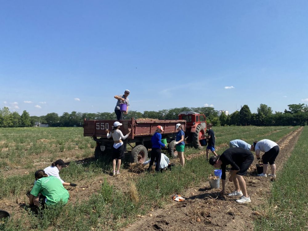 � ���� �� ������ ���������� � ��� ��������� ��������� ���������� 30 ����������