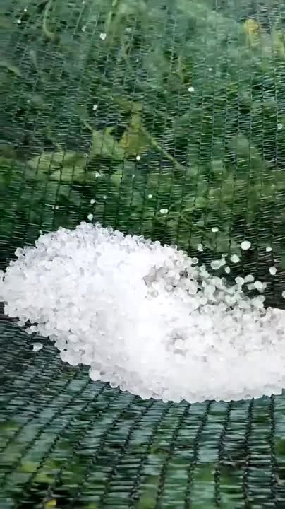 ������ � ������ � ������� ����� ����