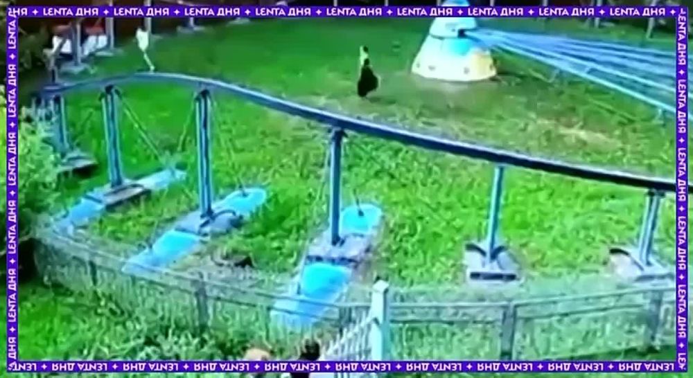 ������� ���������� ��������� �� �������� � ������������ �����