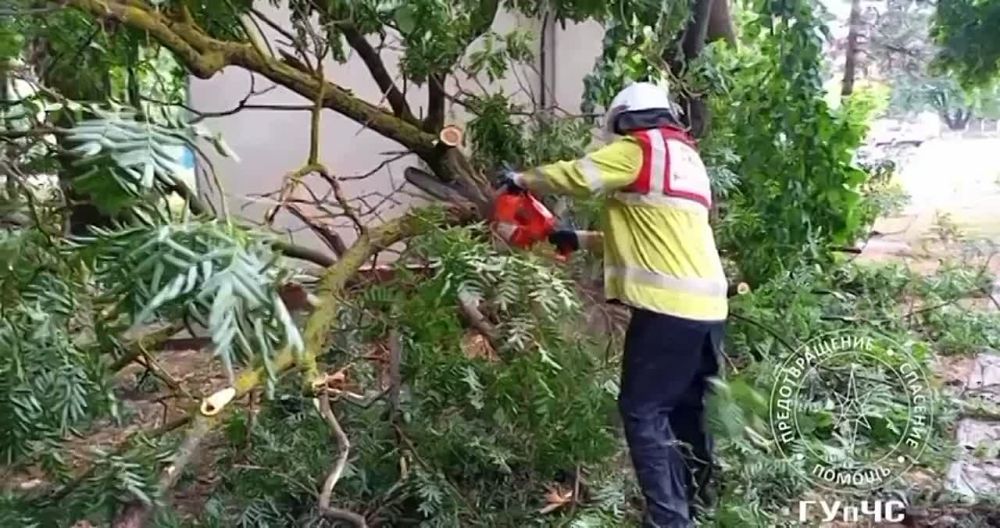 ��������� ��������� ����������� ������