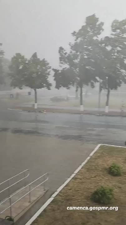 ������ ��������� � �� �������