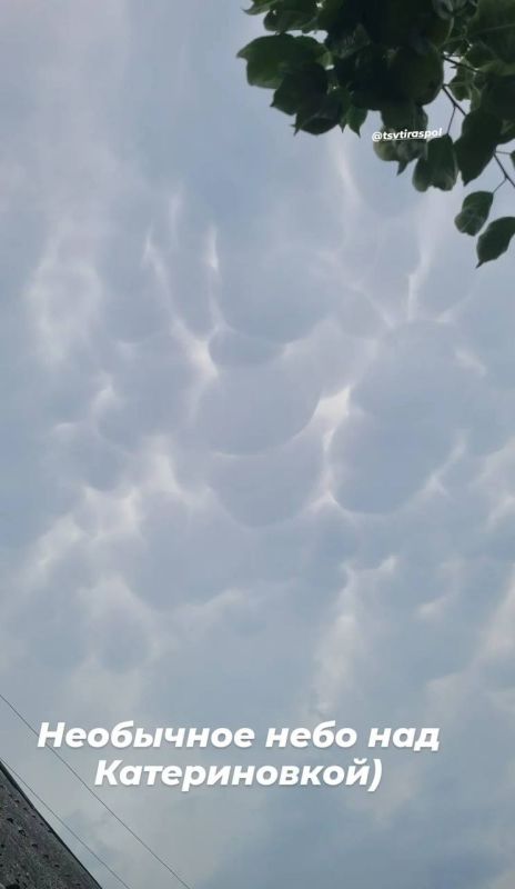 ��� ������������ ����� ������������ ������