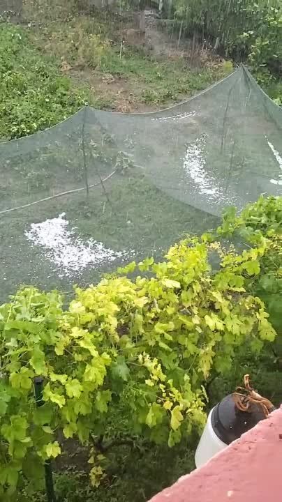 � ������� ������� ���, ��� �������� ����� ��� ����������.