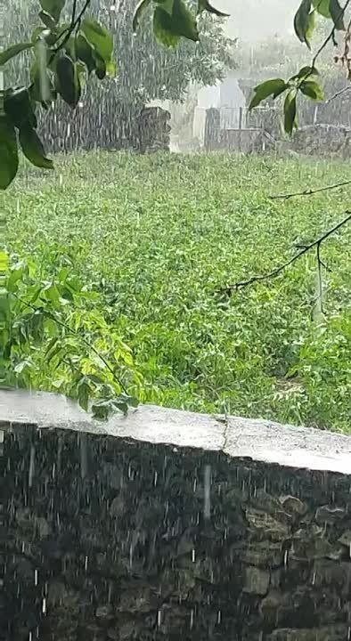 � ��������� �������� ����� � ������