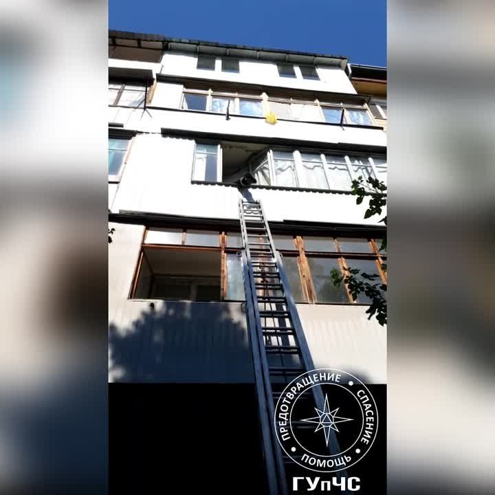 ������ �����������, � ������� �������� ����