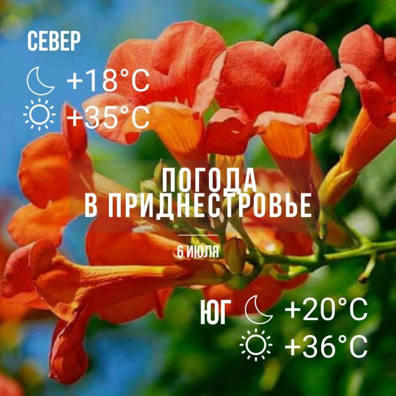 ������� ����� ����� �����. ������������� ���� ��������.