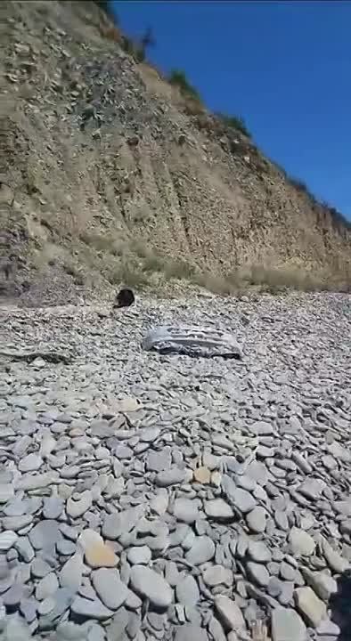 � ����� 34-������ ������� �� ���������� � �����������, �� ������ ������� � 50-��������� ������