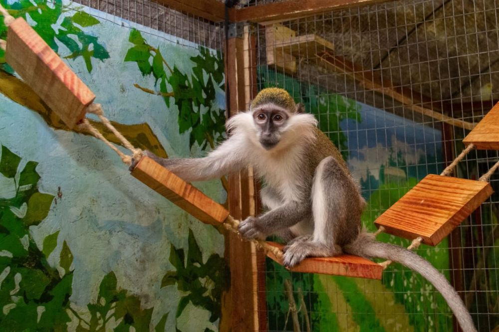 �������� �����������. ��� �� ����� �����. ��� � ���� �������. �� �� � ��������� ����� ���� �����, � �� �������� ���� �������� ������ � ������ � ��� ���� ��������� � �����, �����, ����� ��� ������ ����